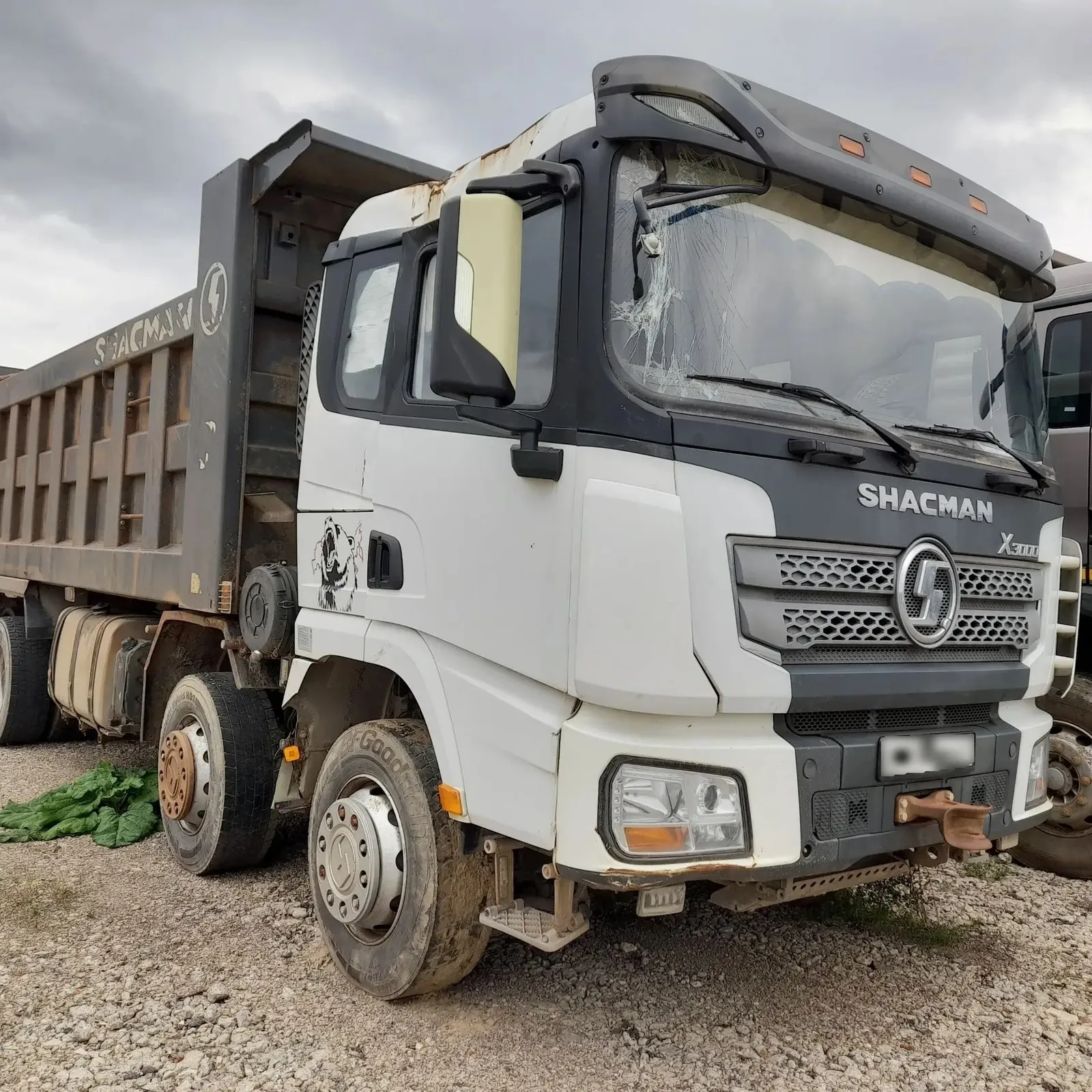 Shacman SX* 8x4 Самосвал, фото 2