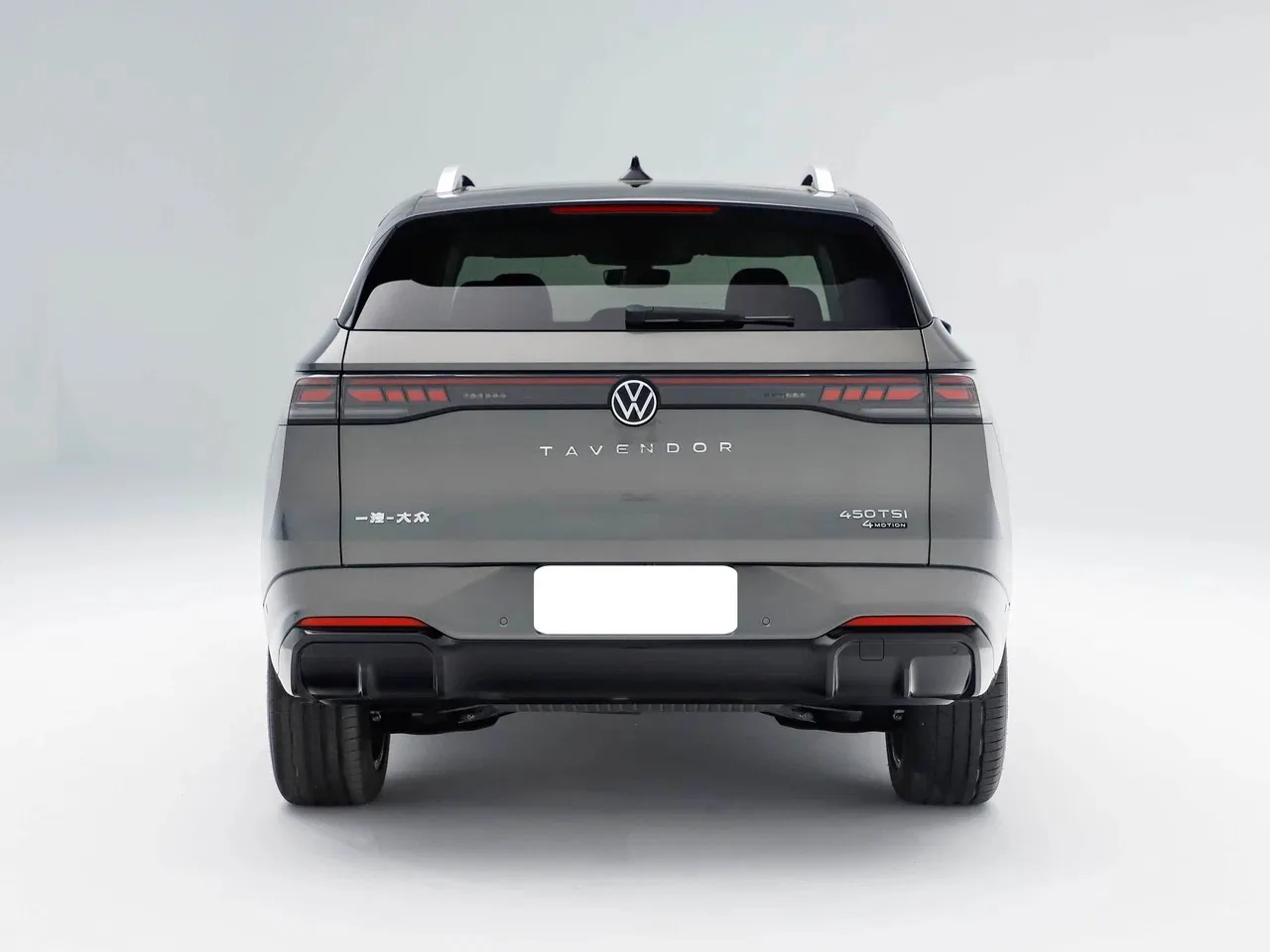 Volkswagen Tavendor R-line, фото 4