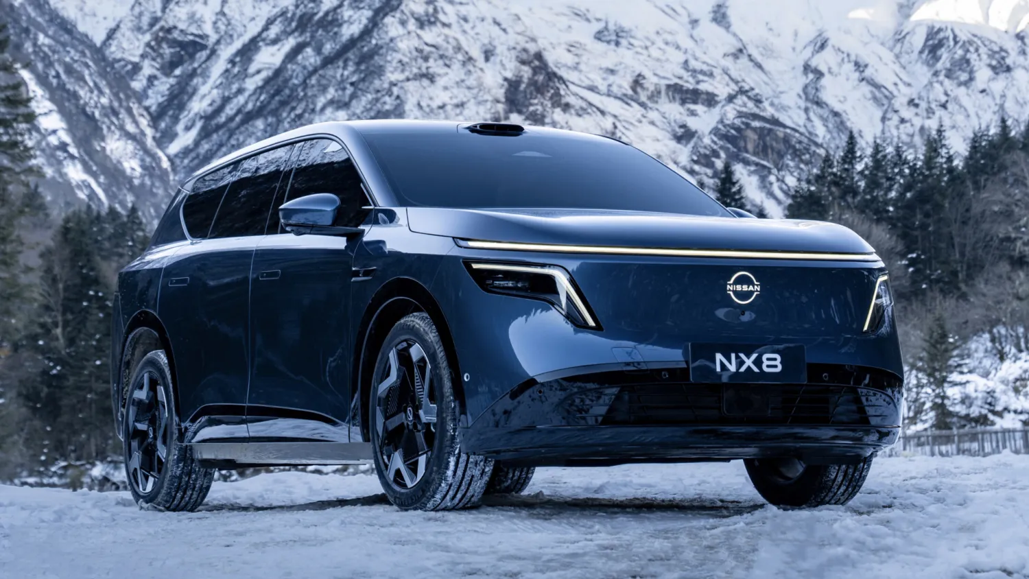 Nissan NX 8 Max, фото 2