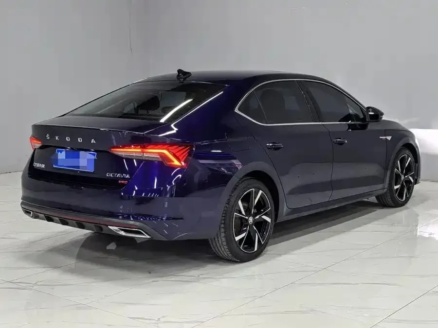 SKODA Octavia Luxury, фото 2