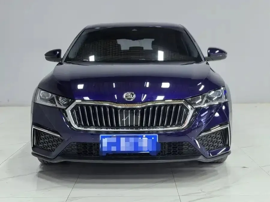 SKODA Octavia Luxury, фото 3