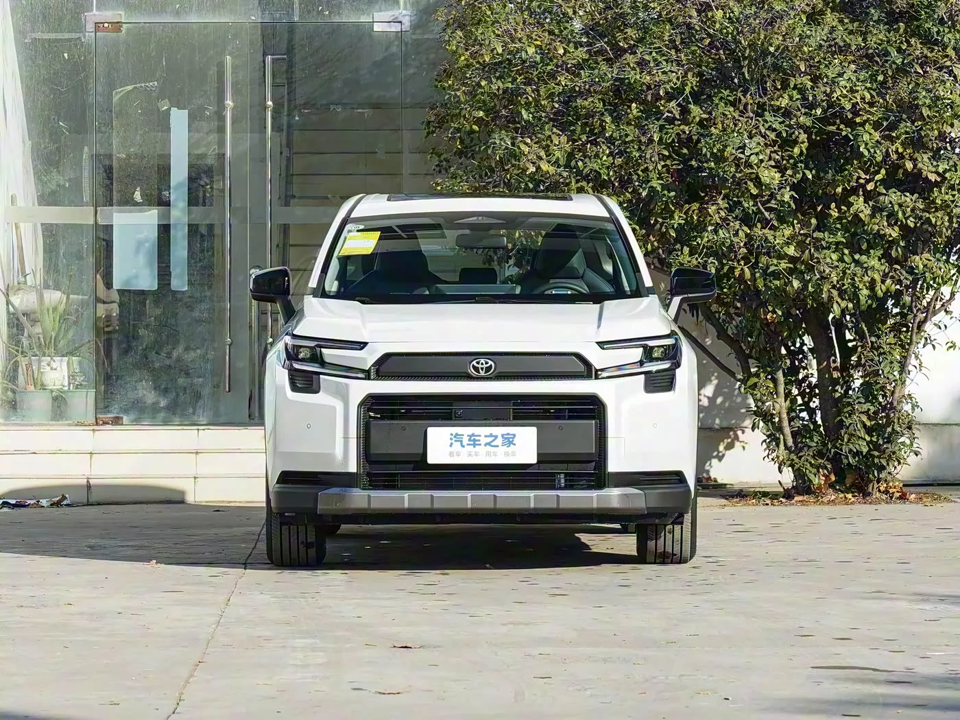 Toyota RAV4, фото 2