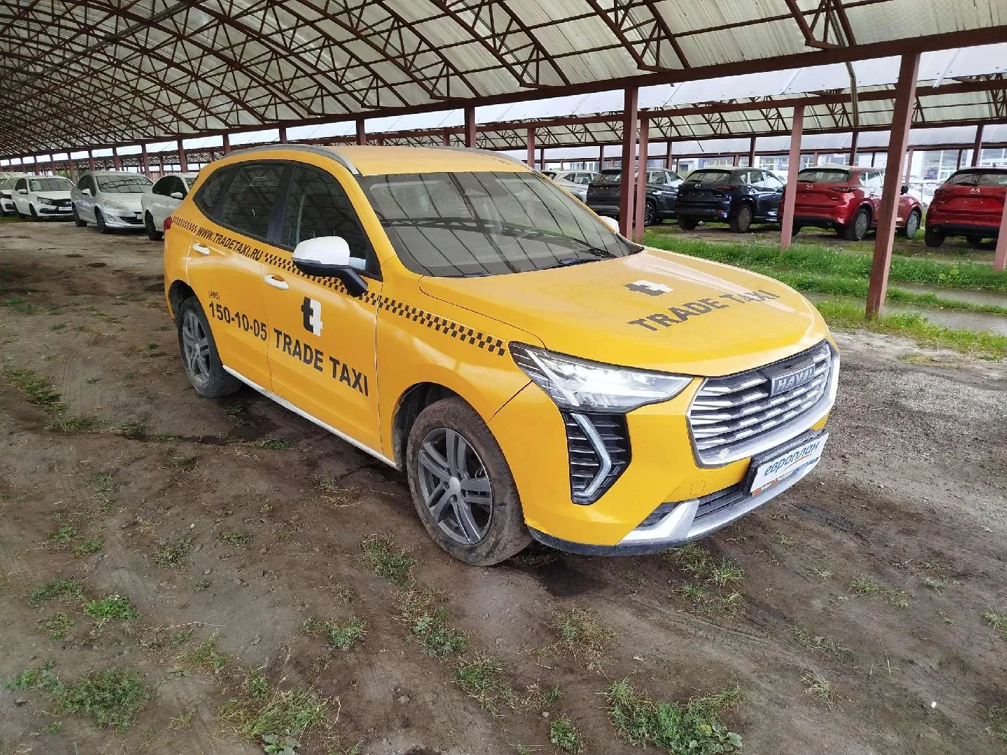 Haval Jolion Элит 1.5 АТ, фото 2
