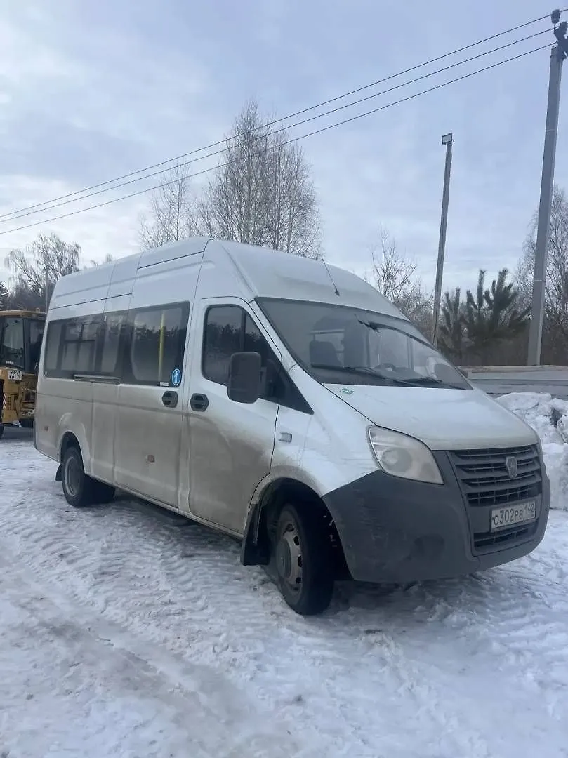 ГАЗ GAZELLE NEXT Автобус, фото 2
