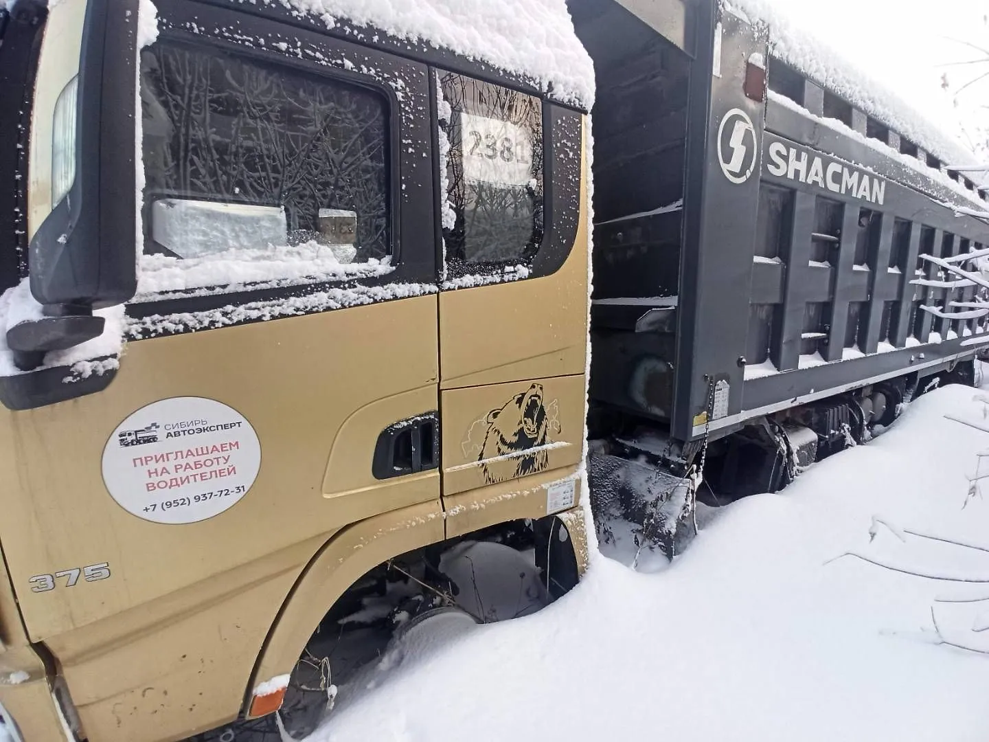 Shacman SX* 8x4 Самосвал, фото 4