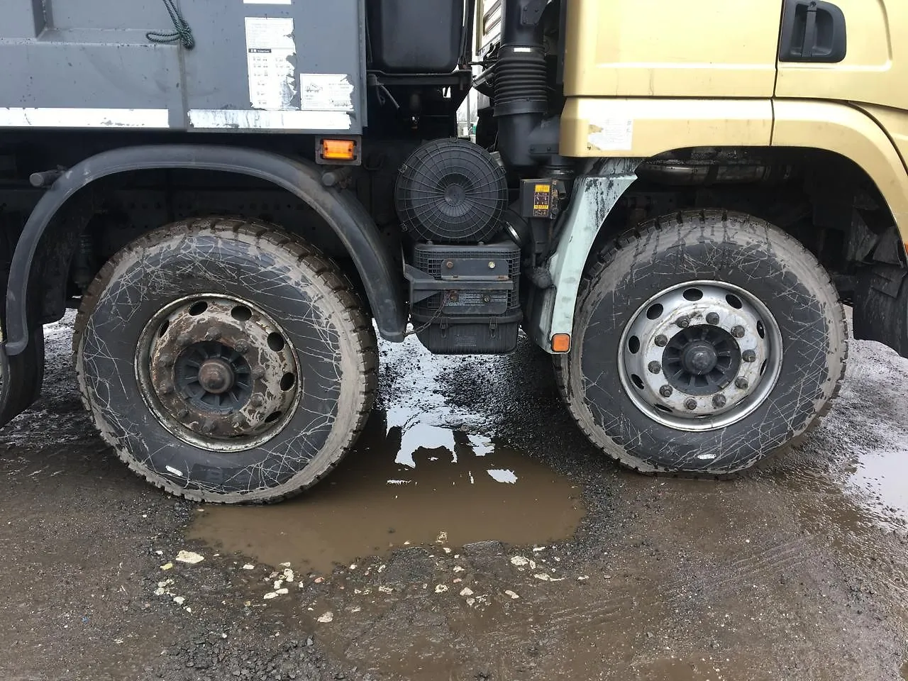 Shacman SX* 8x4 Самосвал, фото 4
