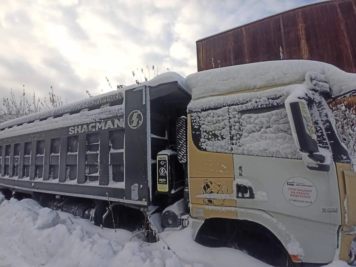 Shacman SX* 8x4 Самосвал, фото 5