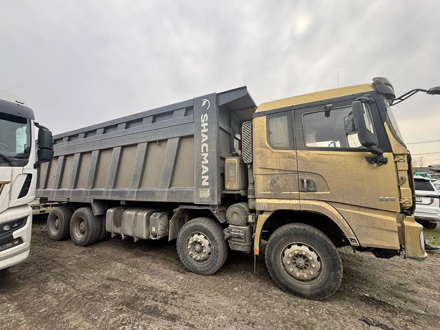 Shacman SX* 8x4 Самосвал, фото 3