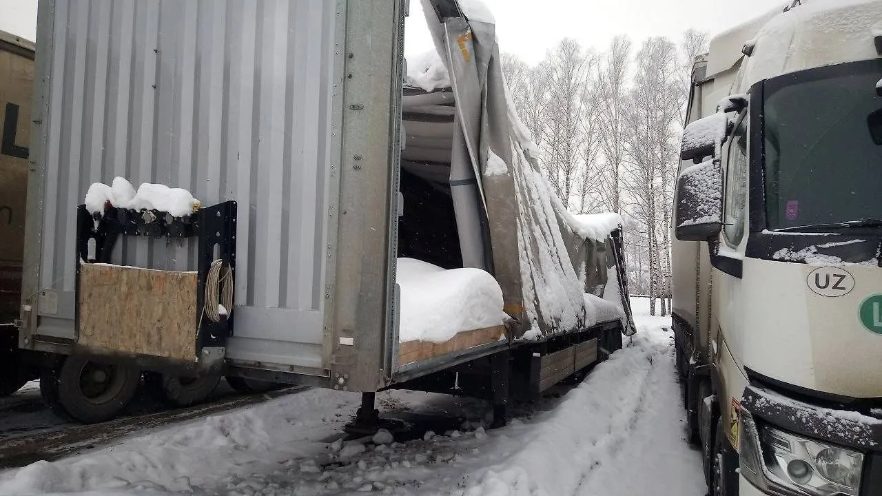 Koluman S Полуприцеп шторный, фото 3