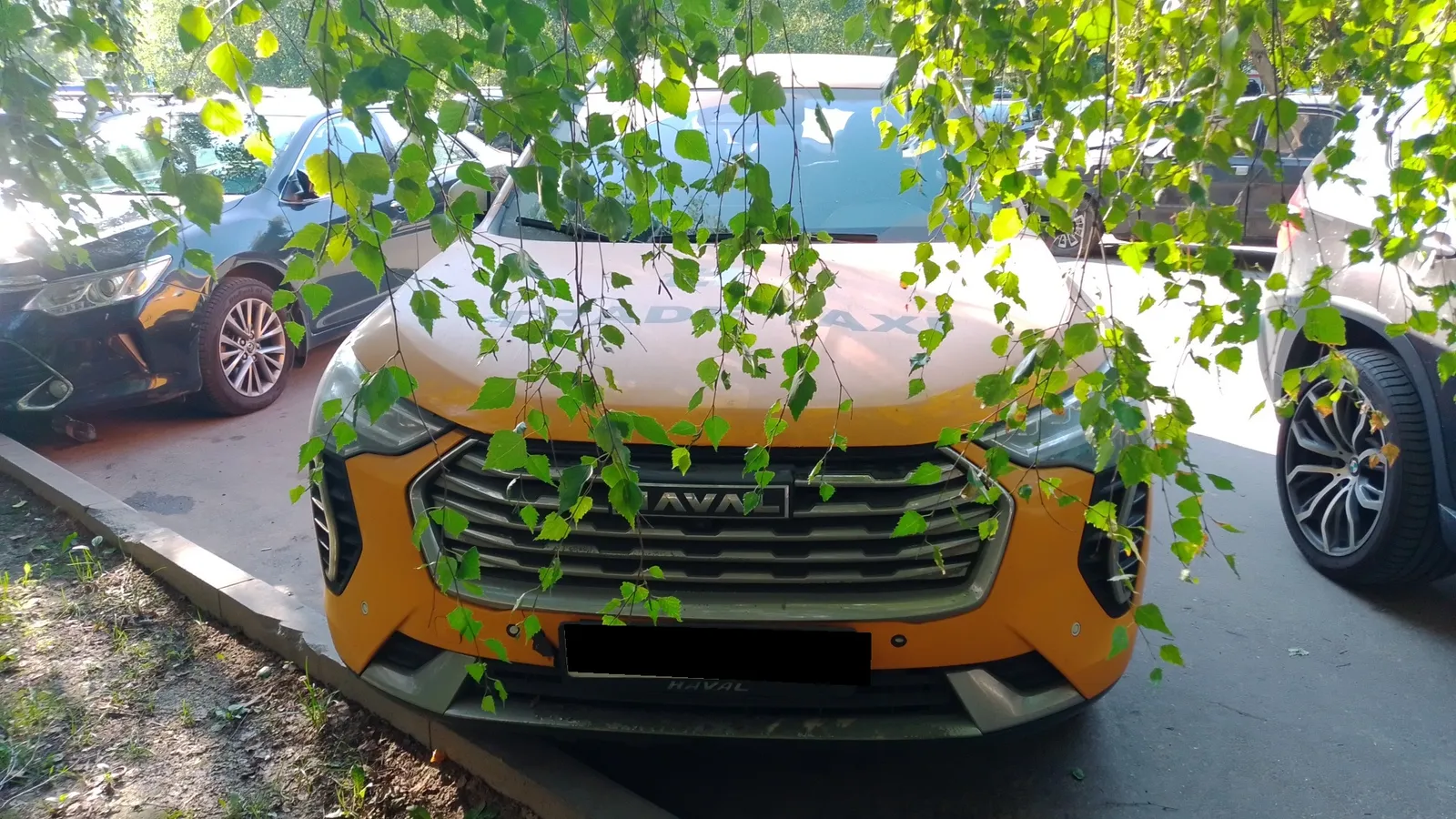 Haval Jolion, фото 2