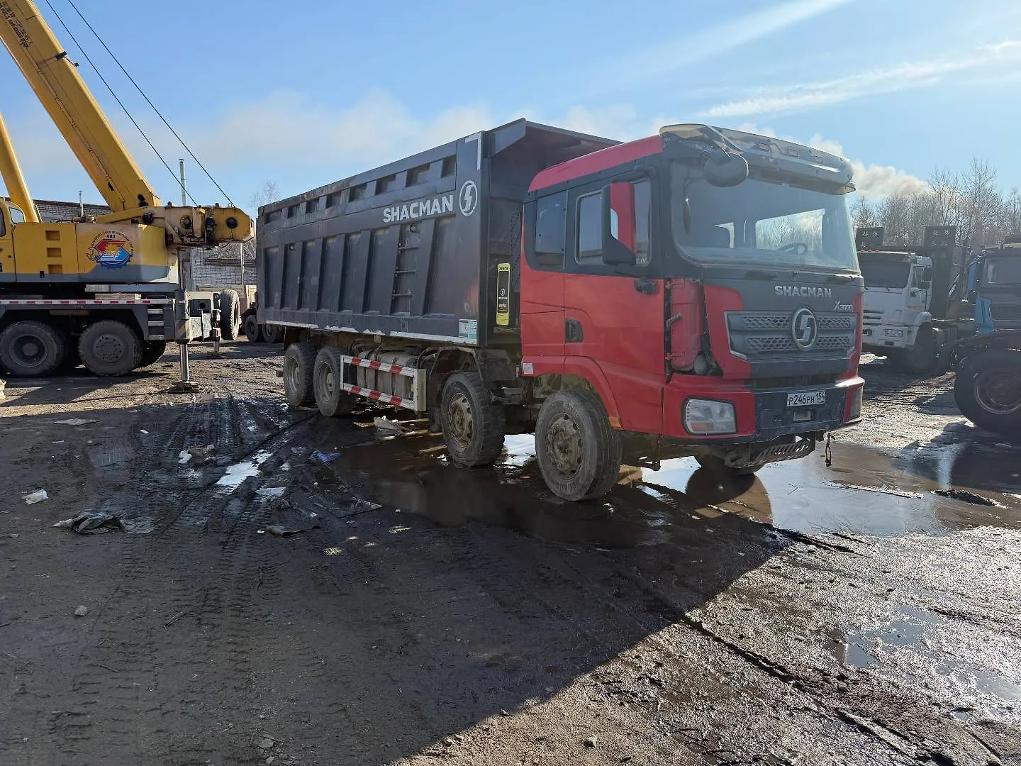 Shacman SX* 8x4 Самосвал, фото 2