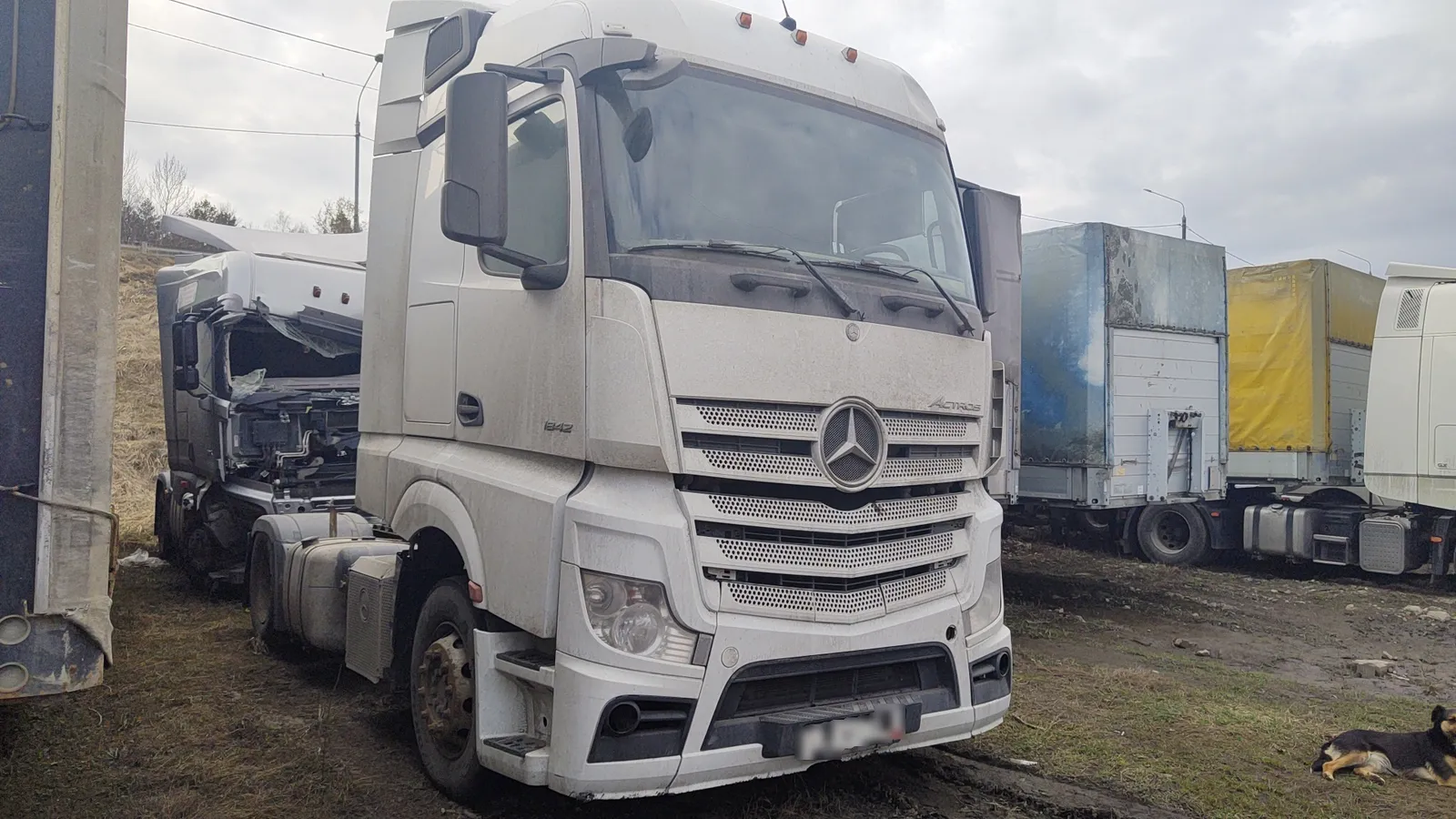 Mercedes-Benz Actros 4x2 Седельный тягач, фото 2