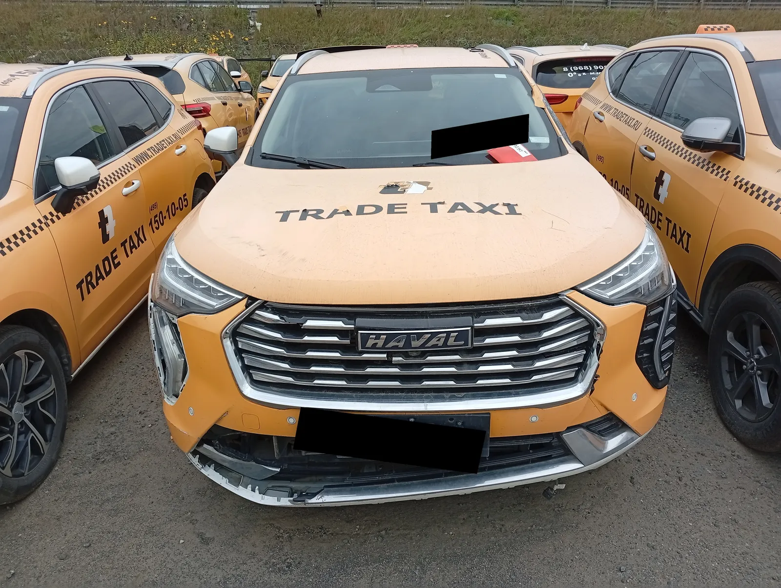 Haval Jolion, фото 2