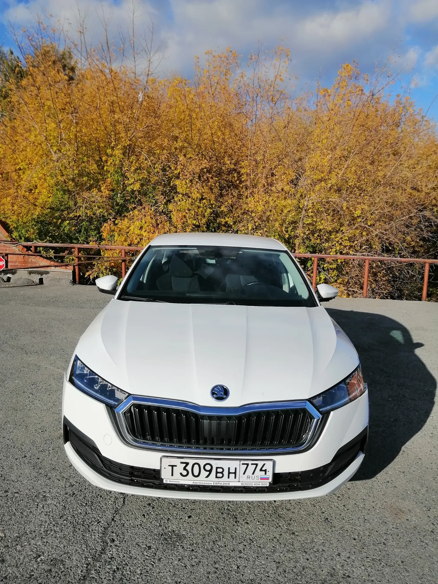 SKODA Octavia, фото 2