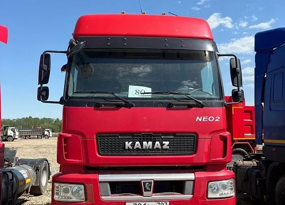 КАМАЗ 5490 NEO, фото 2
