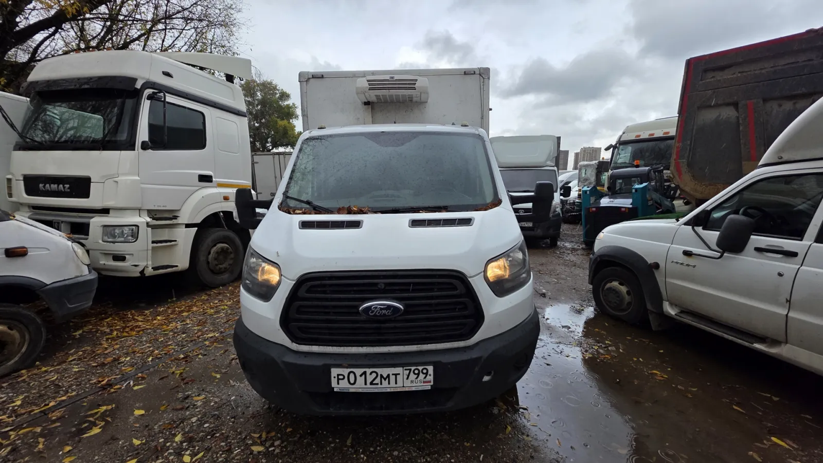Ford Transit, фото 2
