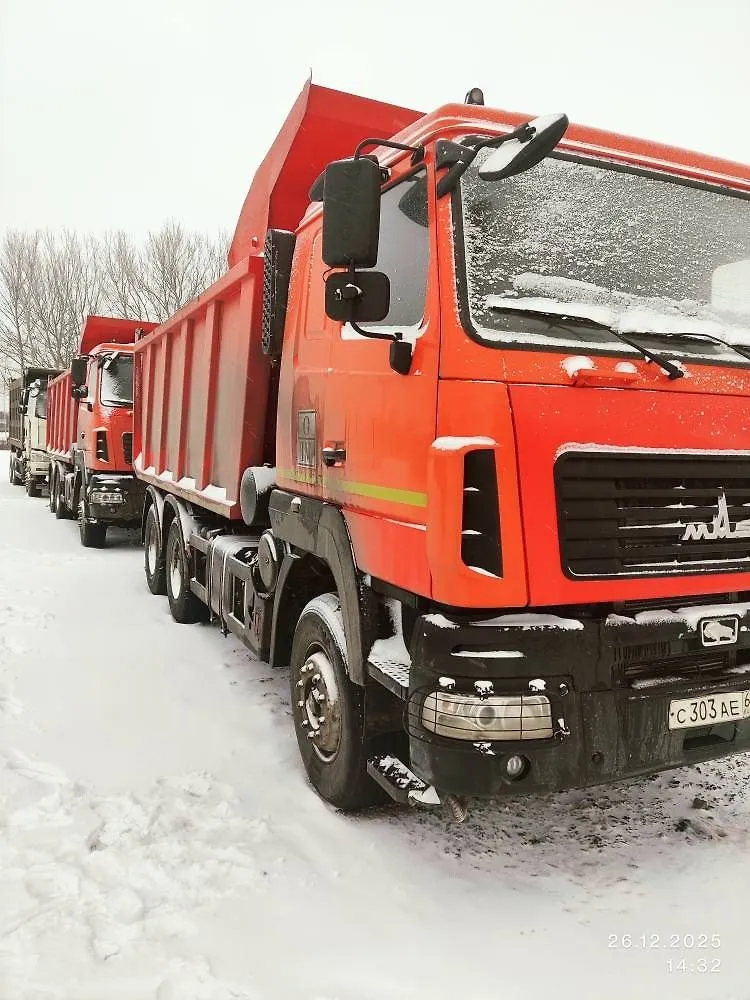 МАЗ 6501* 6x4 Самосвал, фото 2