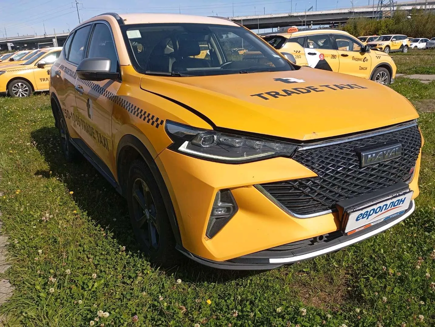 Haval F7 Элит 1.5 АТ, фото 2