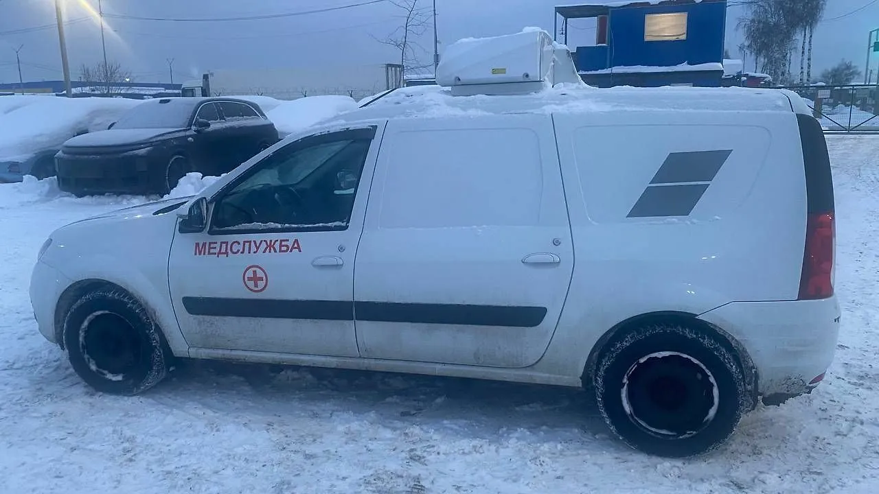 LADA LARGUS рефрижератор, фото 3