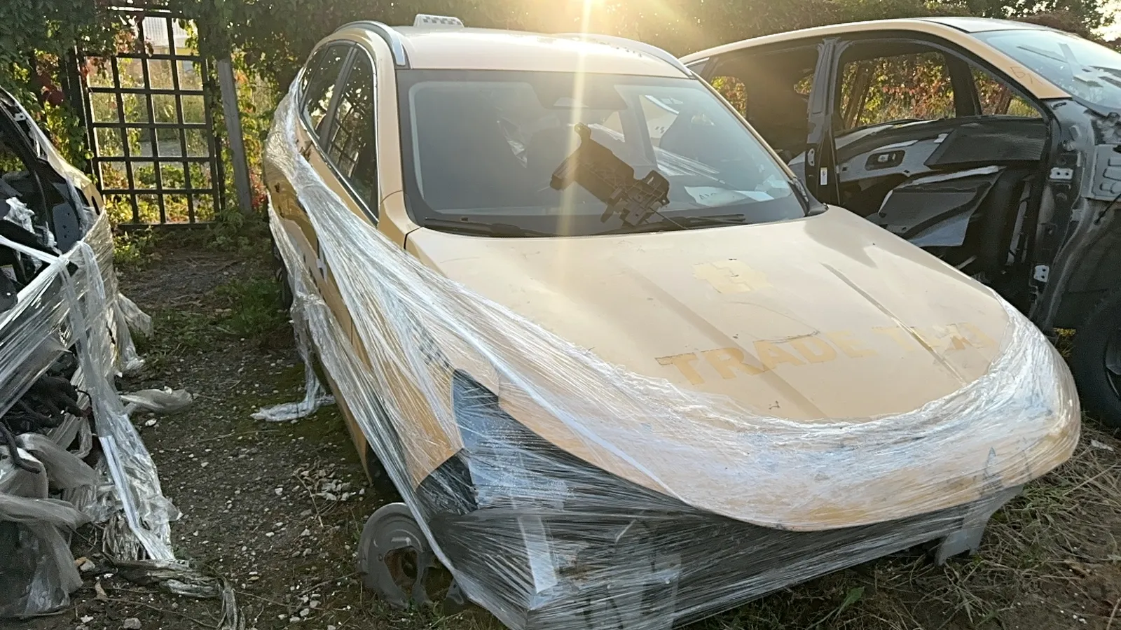 Haval Jolion, фото 3