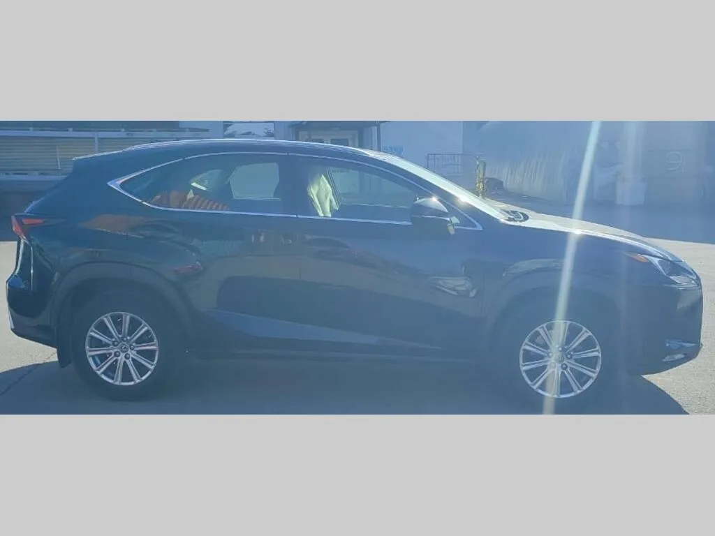 Lexus NX, фото 3
