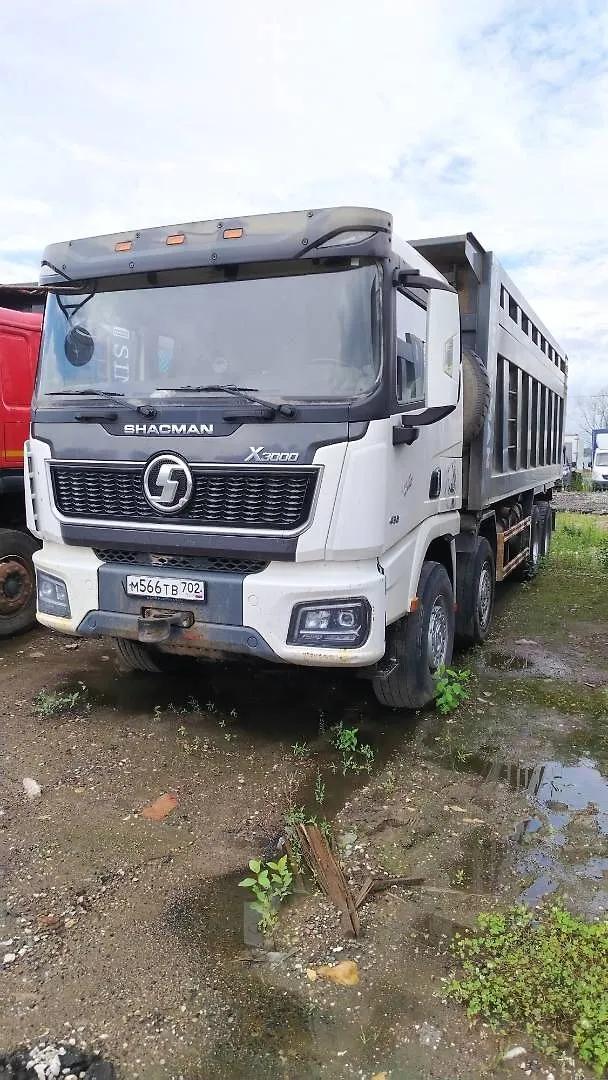 Shacman SX* 8x4 Самосвал, фото 3