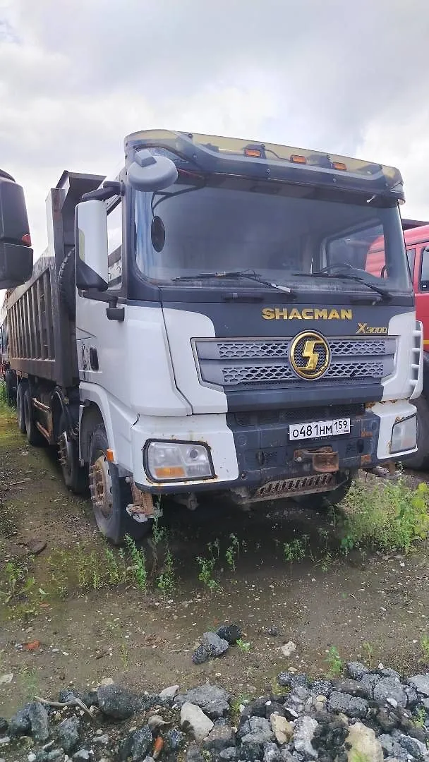 Shacman SX* 8x4 Самосвал, фото 2