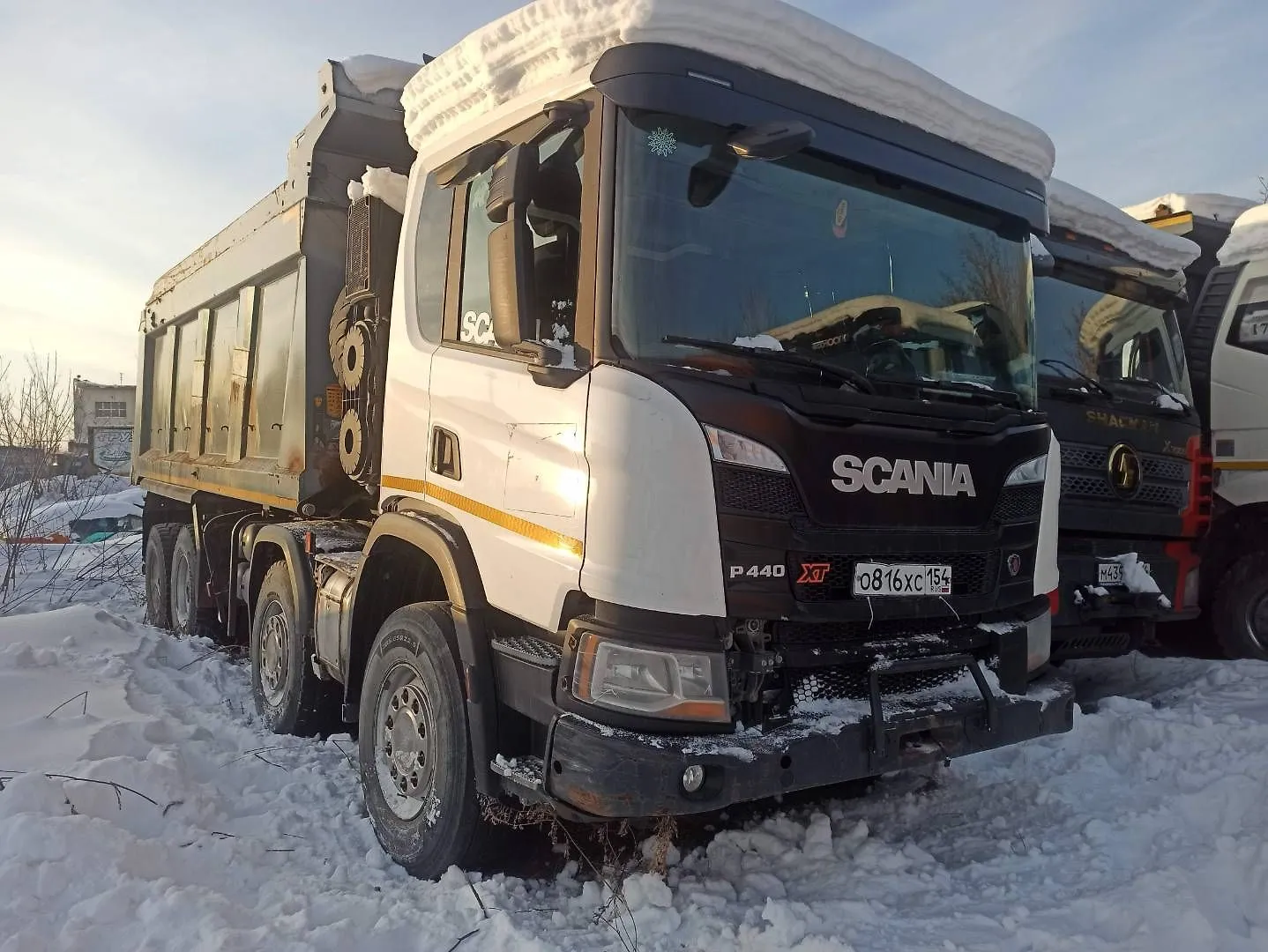 Scania P 8x4 Самосвал, фото 2