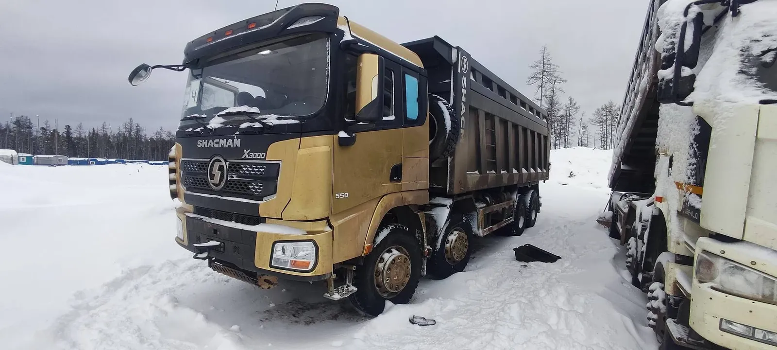 Shacman SX* 8x4 Самосвал, фото 2