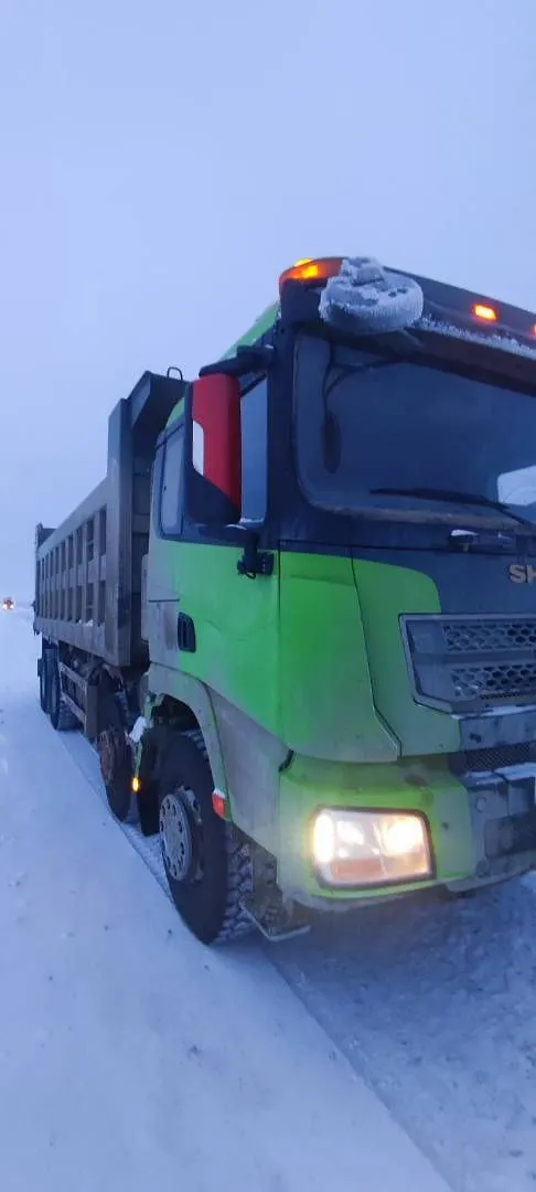 Shacman SX* 8x4 Самосвал, фото 2