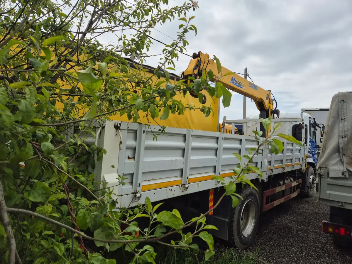 DONGFENG PC* 4x2 Бортовой с КМУ, фото 3