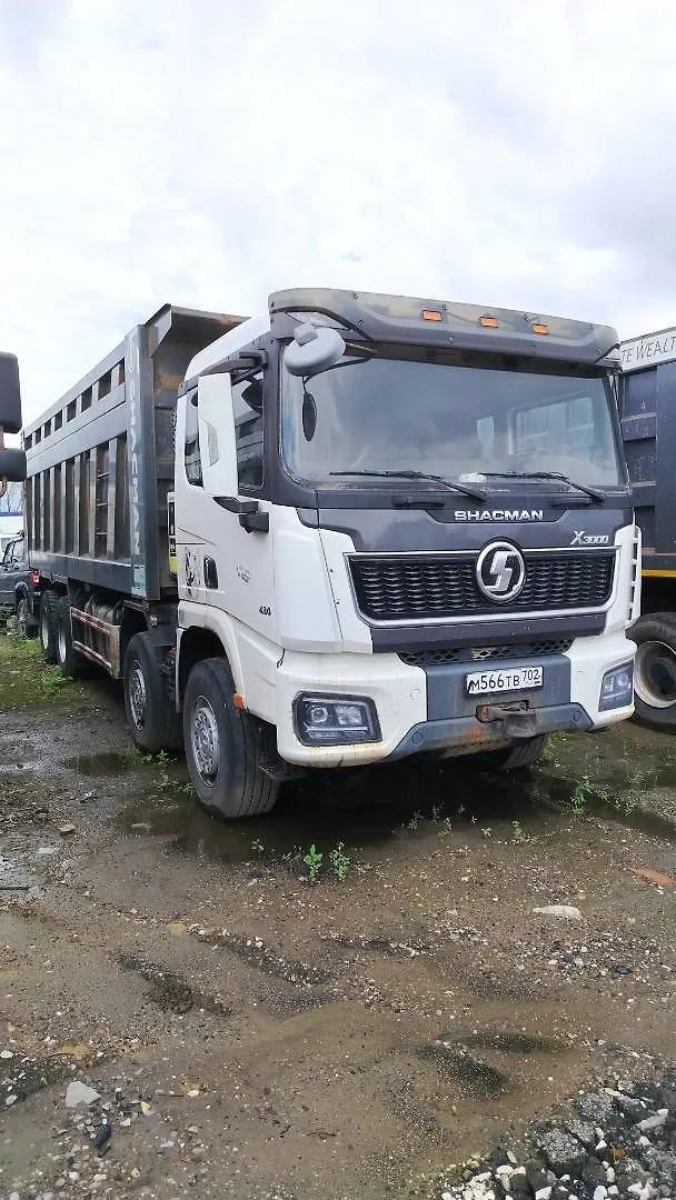 Shacman SX* 8x4 Самосвал, фото 2