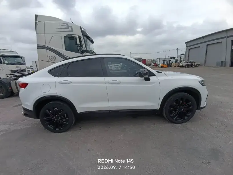 Geely Tugella, фото 4