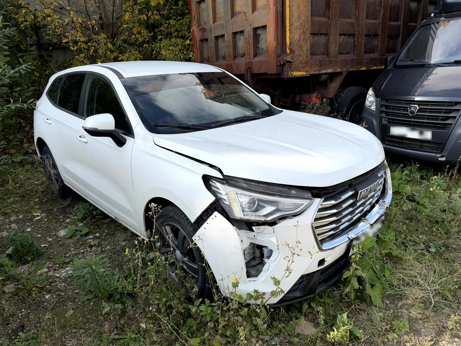 Haval Jolion, фото 2