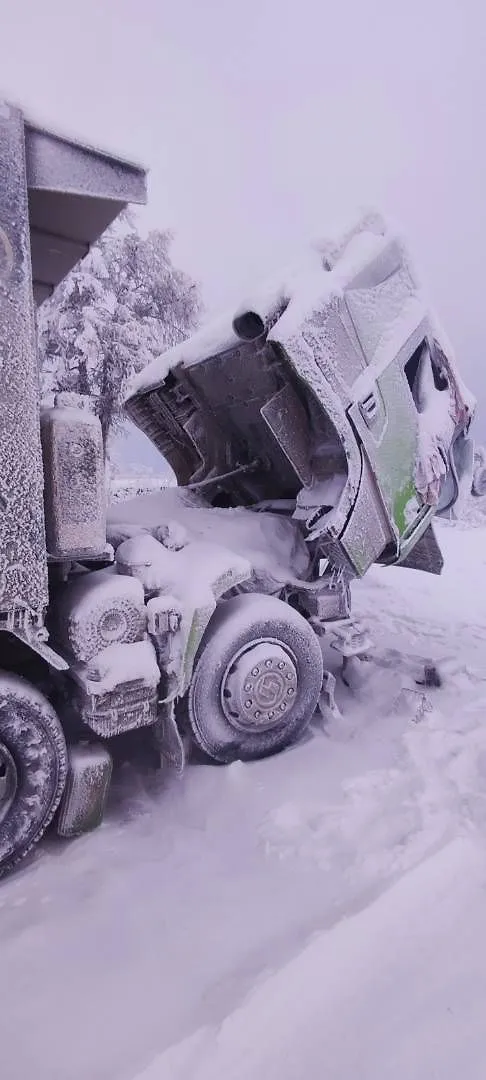 Shacman SX* 8x4 Самосвал, фото 3