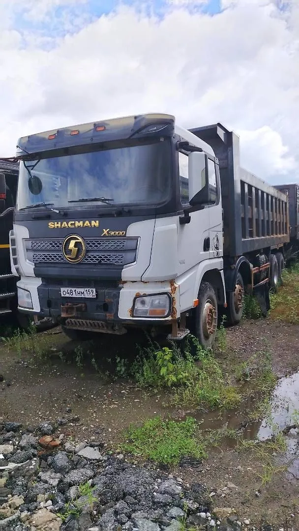 Shacman SX* 8x4 Самосвал, фото 3