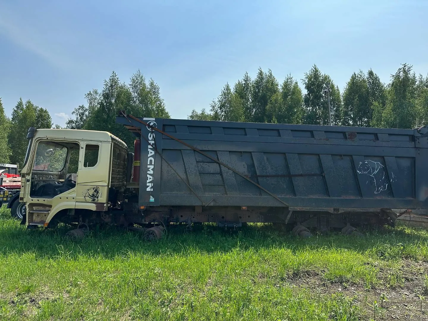 Shacman SX* 8x4 Самосвал, фото 4