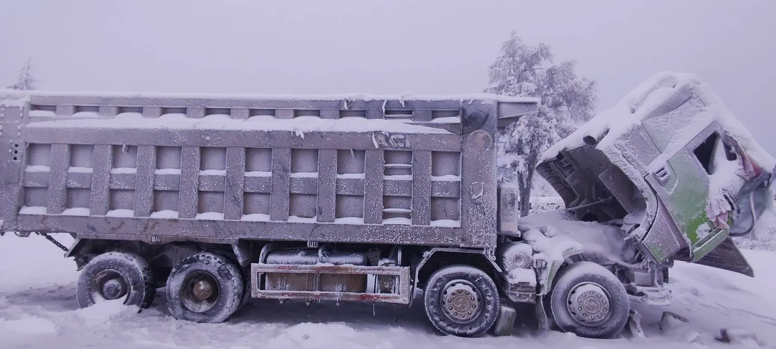 Shacman SX* 8x4 Самосвал, фото 2