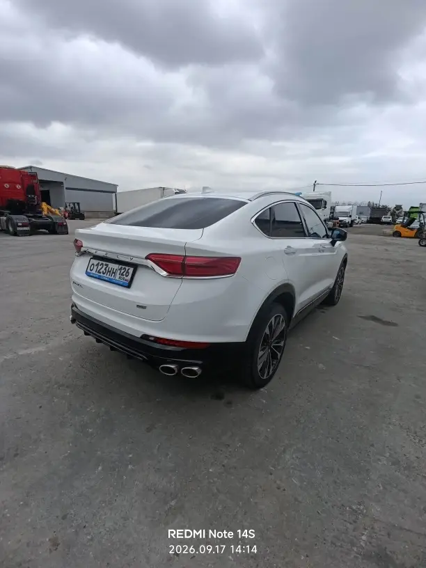 Geely Tugella, фото 5