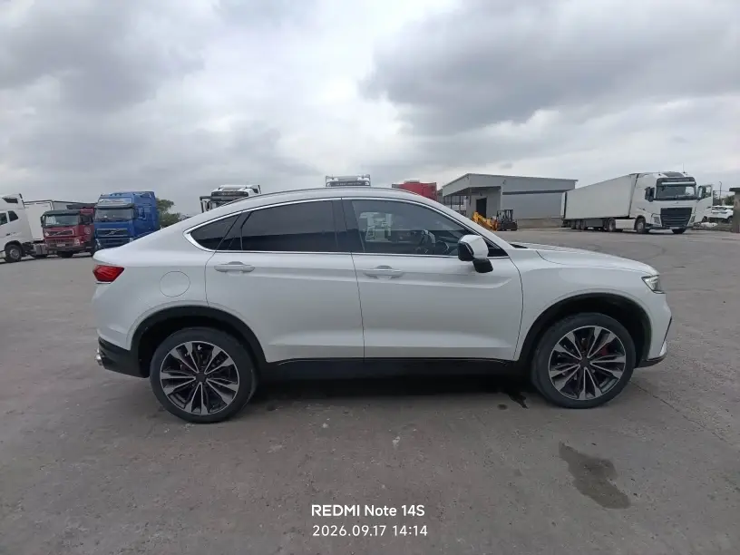 Geely Tugella, фото 4
