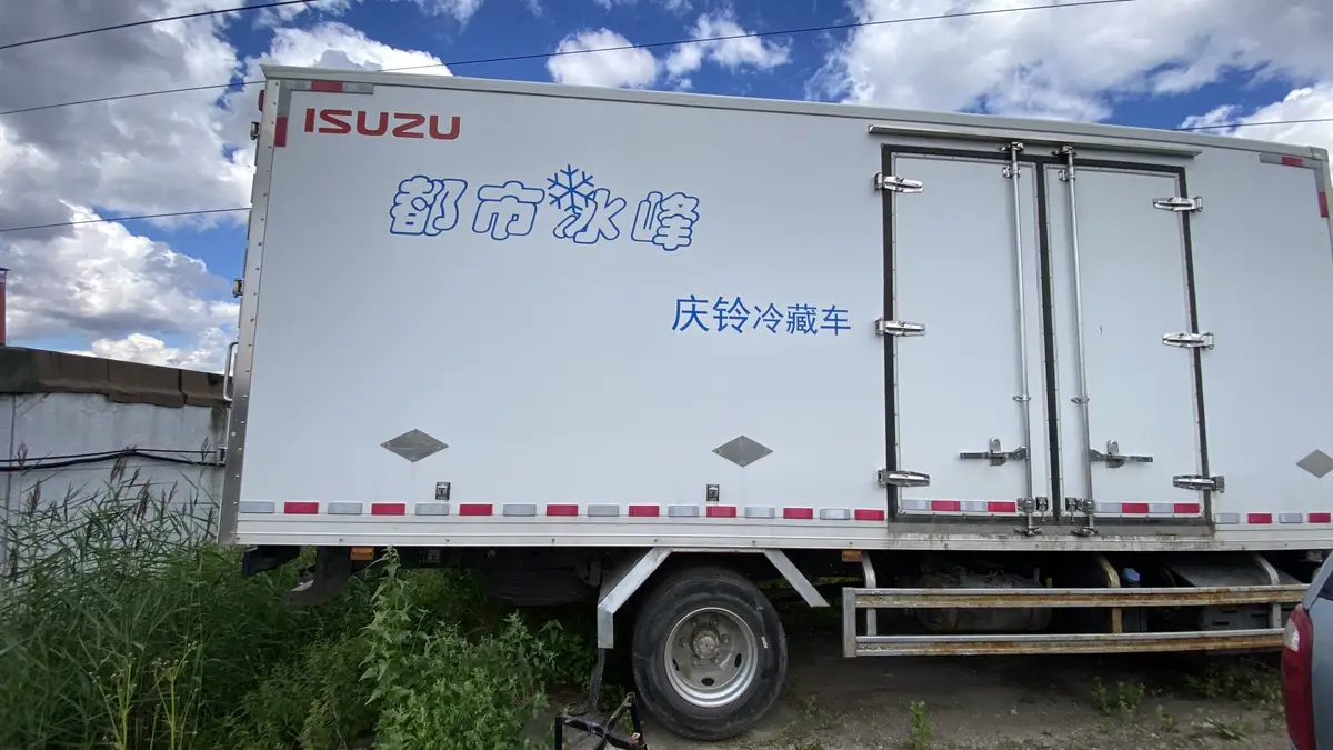 ISUZU ELF 10.5 4x2 Изотермический/рефрижератор, фото 3