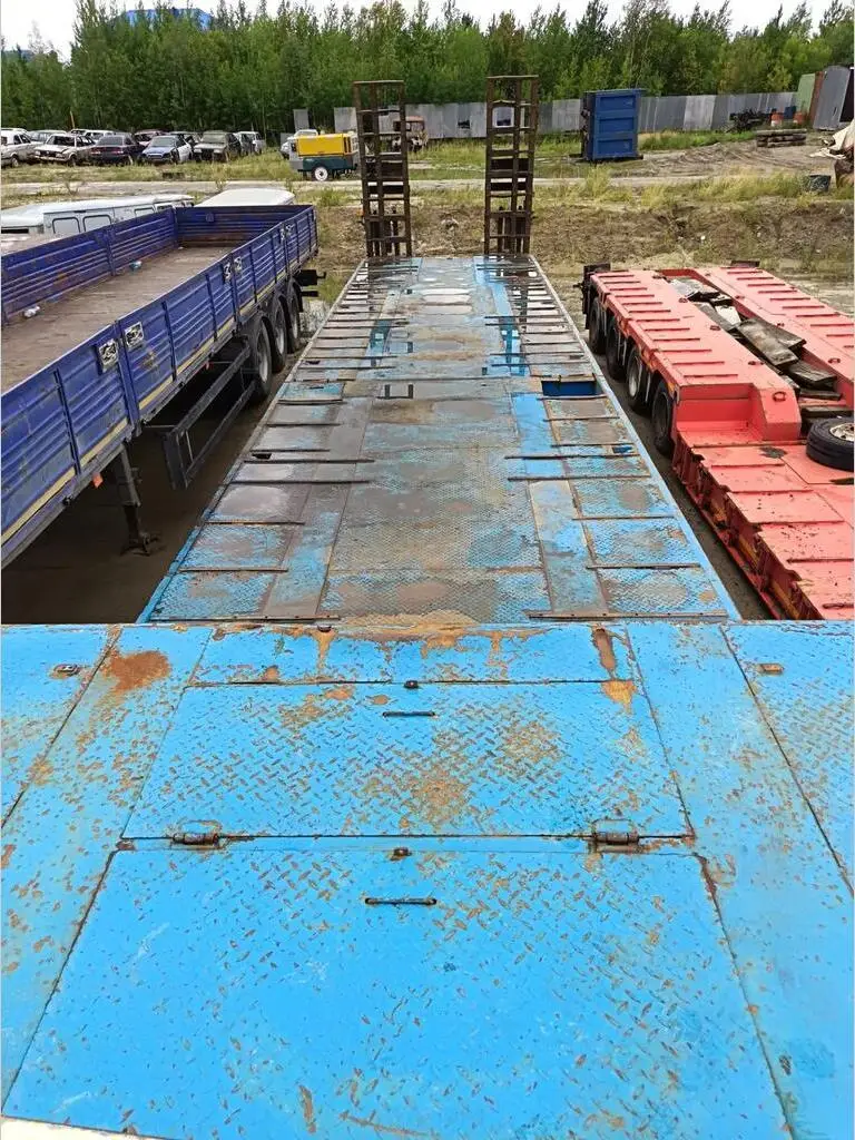 специализированный для перевозки крупногабаритных и тяжеловесных грузов AMUR, фото 3