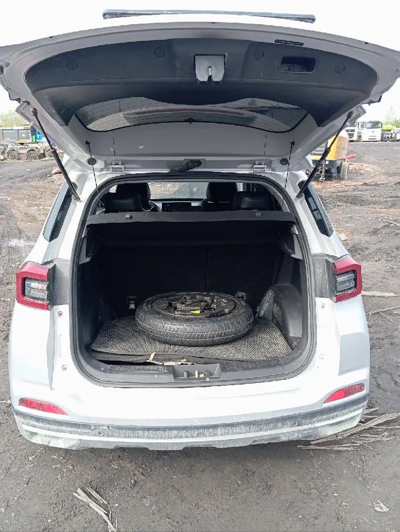 Chery Tiggo 4 PRO Акшн, фото 5