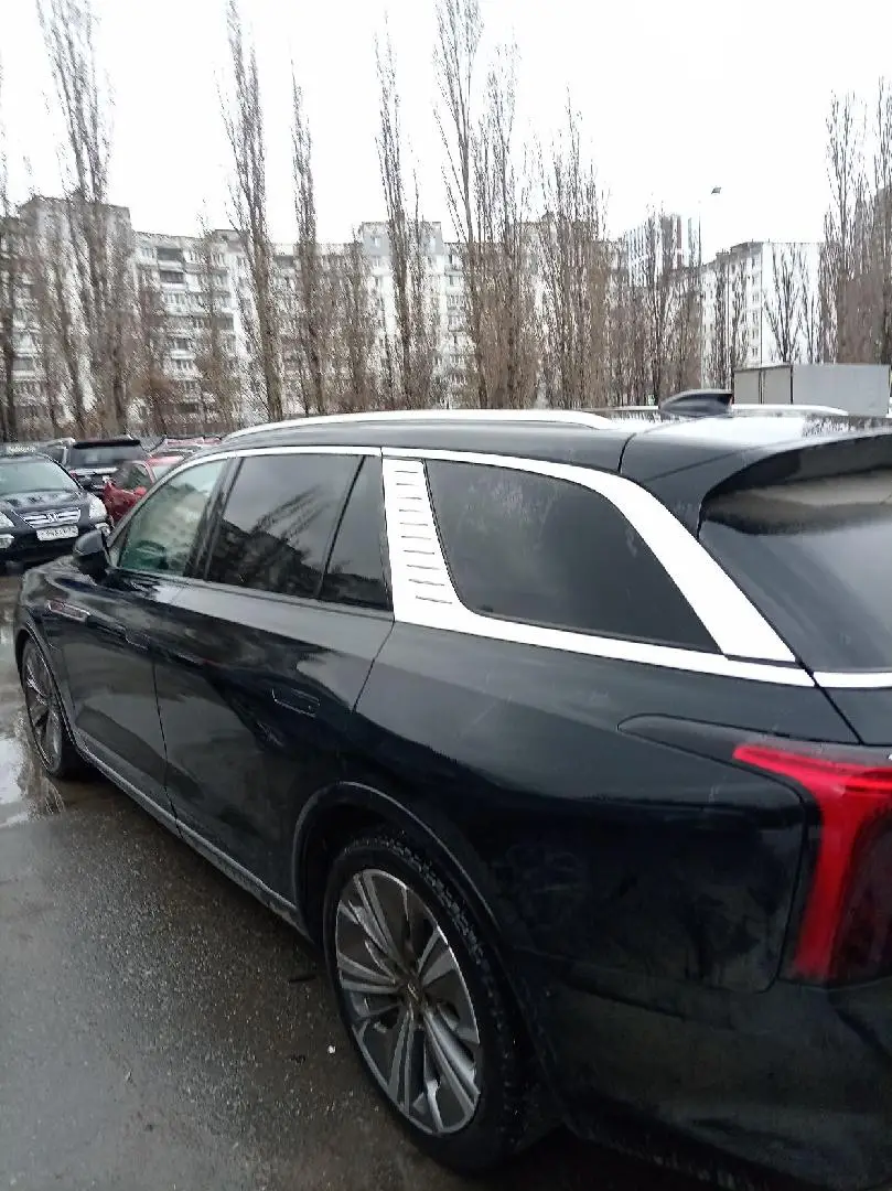 Hongqi E-HS9 Делюкс, фото 4