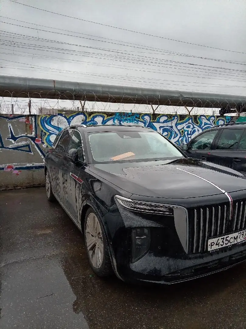 Hongqi E-HS9 Делюкс, фото 2