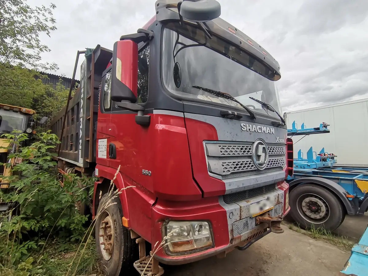 Shacman SX331863366 Самосвал  8х4, фото 2