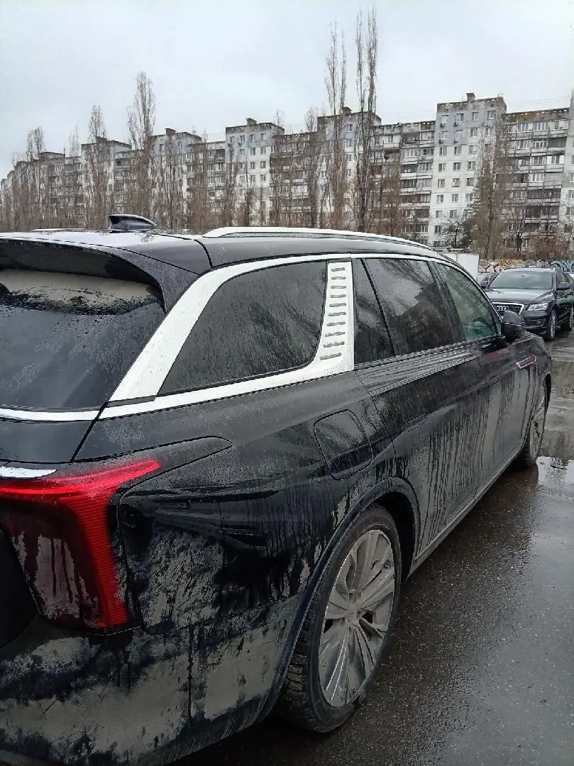 Hongqi E-HS9 Делюкс, фото 3